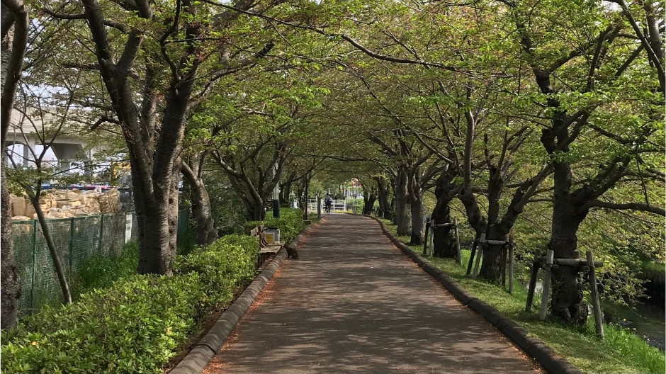 船橋市日陰が多く運動できる場所の画像-3