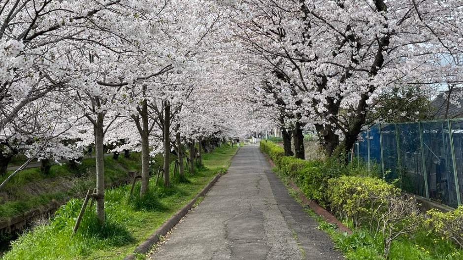 船橋市日陰が多く運動できる場所の画像-4