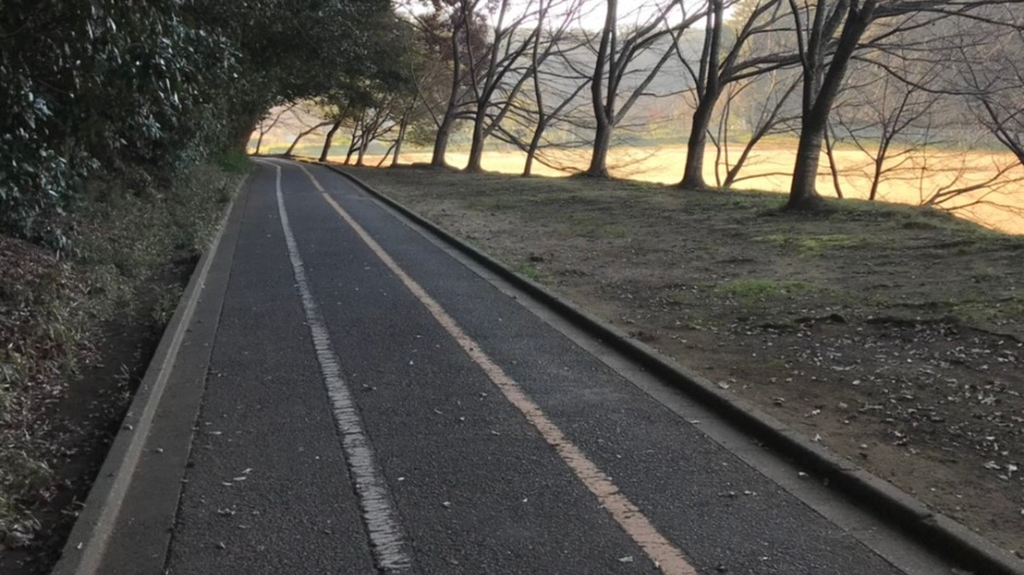 船橋市日陰が多く運動できる場所の画像-6