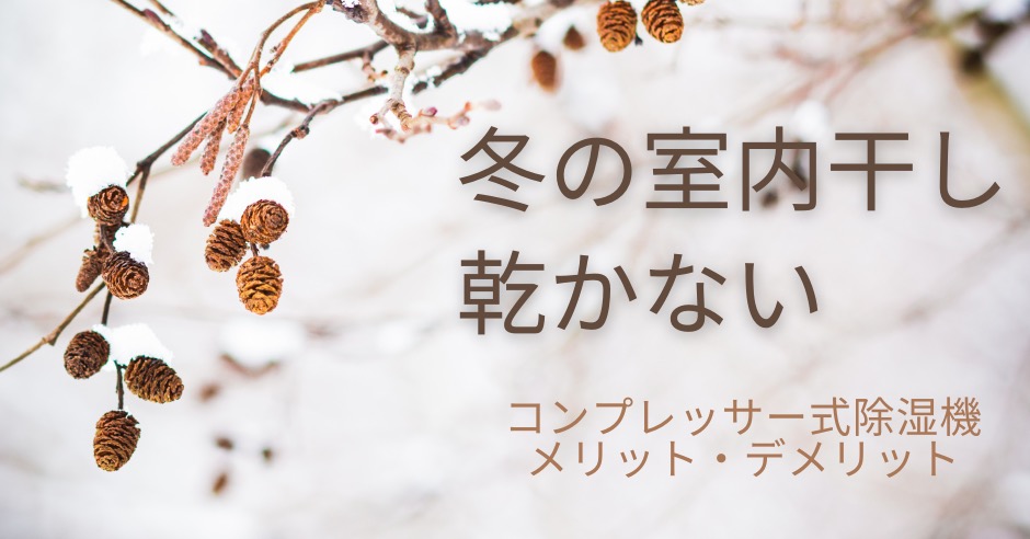 コンプレッサー式除湿機　冬の室内干しは乾かない！？のアイキャッチ画像